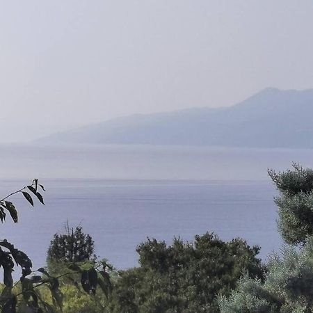 Apartman Liburna Rijeka Bagian luar foto
