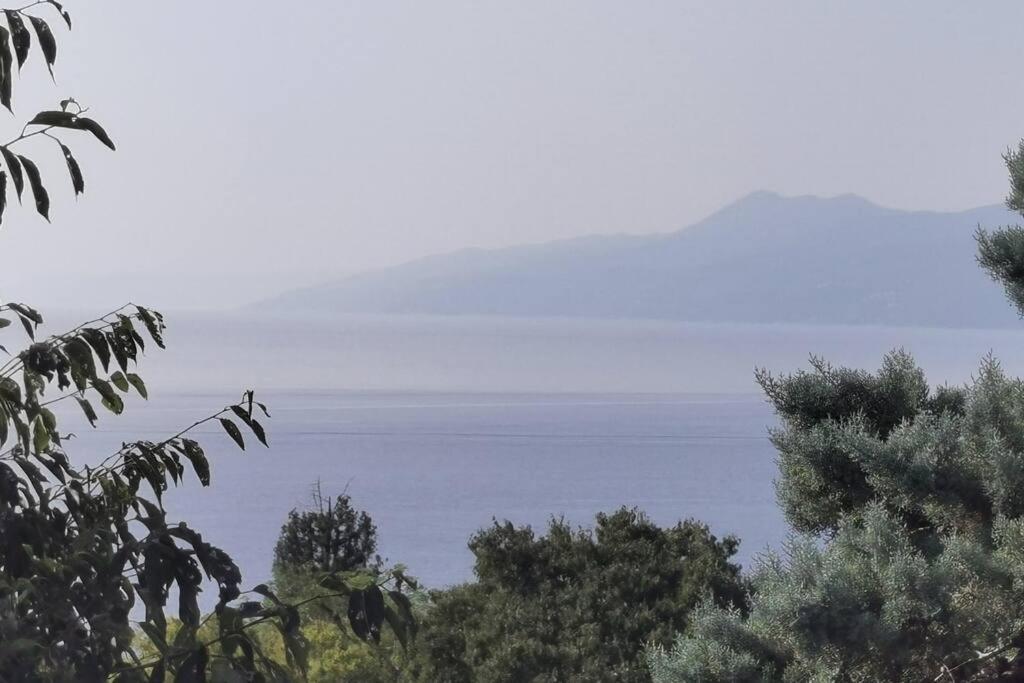 Apartman Liburna Rijeka Bagian luar foto